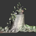 Wooden Stump Decorative Piece With Stone Accents Grass Clay Pot Plant And Wooden Planks