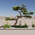 New Chinese style landscape sketch pine landscape tree withered landscape background Pohan pine shape pine welcome pine 3d model