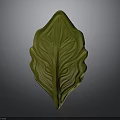 Green Leaf With Textured Veins And Three Dimensional Shape On Gray Background