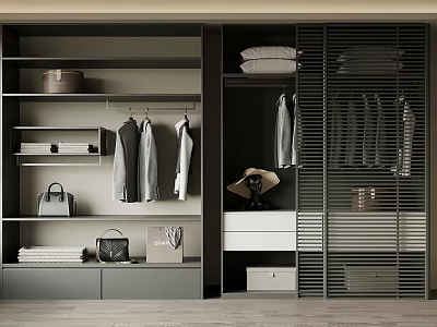 Modern Wardrobe Interior Design With Hanging Clothes Shelves Drawers Handbags And Hats 3d model