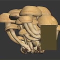 Modern mushroom straw mushroom poisonous mushroom 3d model