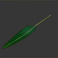 Fresh Green Leaf With Visible Veins And Long Green Stem