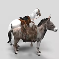 Gray Donkey and White Horse Standing with Leather Saddles and Harnesses