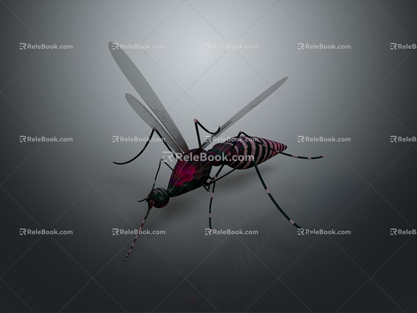 Mosquito Cartoon Mosquito Cartoon Insect Monster Monster Cartoon Monster Monster Cartoon Monster 3d model