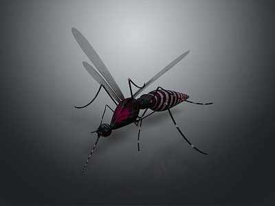 Mosquito Cartoon Mosquito Cartoon Insect Monster Cartoon Monster Cartoon Monster 3d model