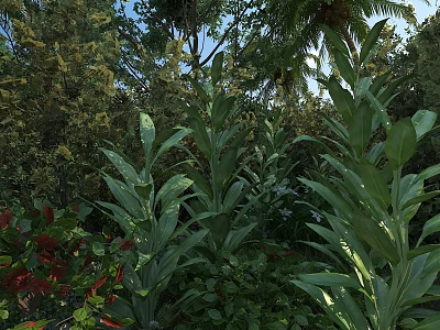 Lush Green Crops Surrounded by Other Plants with Wide Leaves Under Sunlight in Natural Environment 3d model
