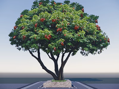 Lush Green Tree with Abundant Red Fruits and Stone Base in Open Area 3d model