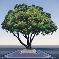Lush Green Tree with Abundant Red Fruits and Stone Base in Open Area