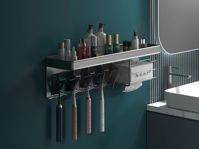 Bathroom Wall Cabinet With Storage Shelf For Toiletries And Toothbrush Holder 3d model