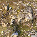Natural Stone And Wood Features In Rocky Terrain With Green Moss Details
