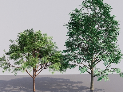 Modern Sick Trees Street Trees Big Trees Tall Trees Arbor Landscape Plant Trees Courtyard Trees 3d model