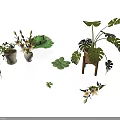 Indoor Potted Plants Collection With Monstera Succulents Hanging Flowers And Wooden Stand