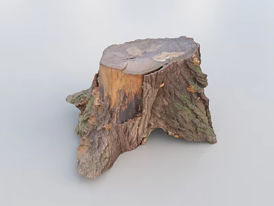 Natural Stone And Wood Tree Stump Decorative Piece With Rustic Bark Texture 3d model