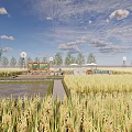 Rural Landscape With Golden Rice Fields Blue Sky White Clouds Trees Signboard Pathway And Umbrellas