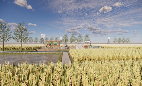 Modern paddy rural agricultural landscape 3d model