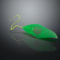 Green Leaf Shaped Euglena With Yellow Flagellum And Transparent Texture On Black Background With Reflection