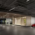 Modern B2 Parking Garage with Wooden Decor Green Plant and Luxury Cars