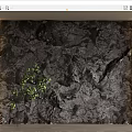 Dark Textured Natural Stone Background Wall With Green Plant And Wooden Frame