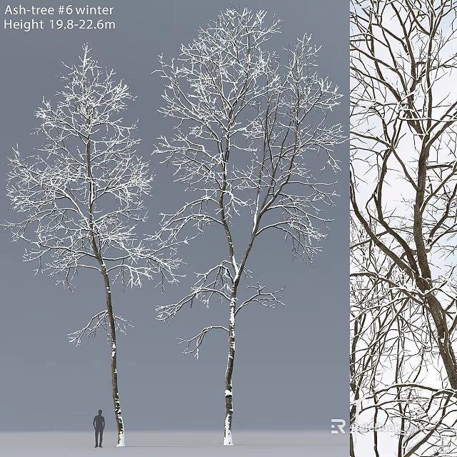 Decorative Ornament Set Featuring Snow Covered Tree Branches For Winter Home 3d model 