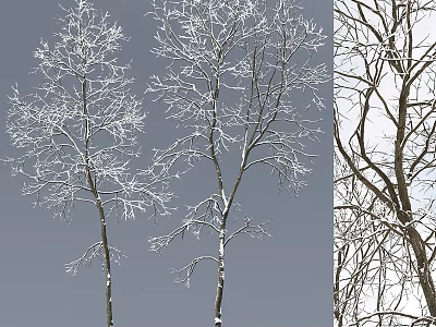 Decorative Ornament Set Featuring Snow Covered Tree Branches For Winter Home 3d model