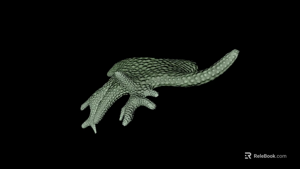 Detailed Close Up Green Lizard Paw With Reticulated Texture On Black Background 3d model
