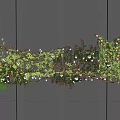 Vine With Green Leaves And Pink White Flowers On Gray Striped Background
