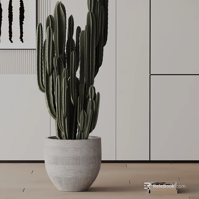 Potted Cactus Plant in White Woven Textured Pot Modern Interior with White Cabinets Light Floor 3d model 