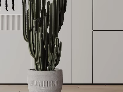 Potted Cactus Plant in White Woven Textured Pot Modern Interior with White Cabinets Light Floor 3d model
