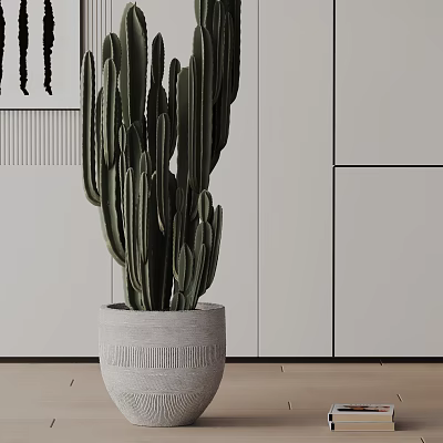 Potted Cactus Plant in White Woven Textured Pot Modern Interior with White Cabinets Light Floor 3d model