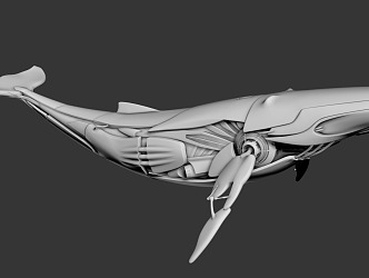 modern mechanical whale sci-fi whale 3d model