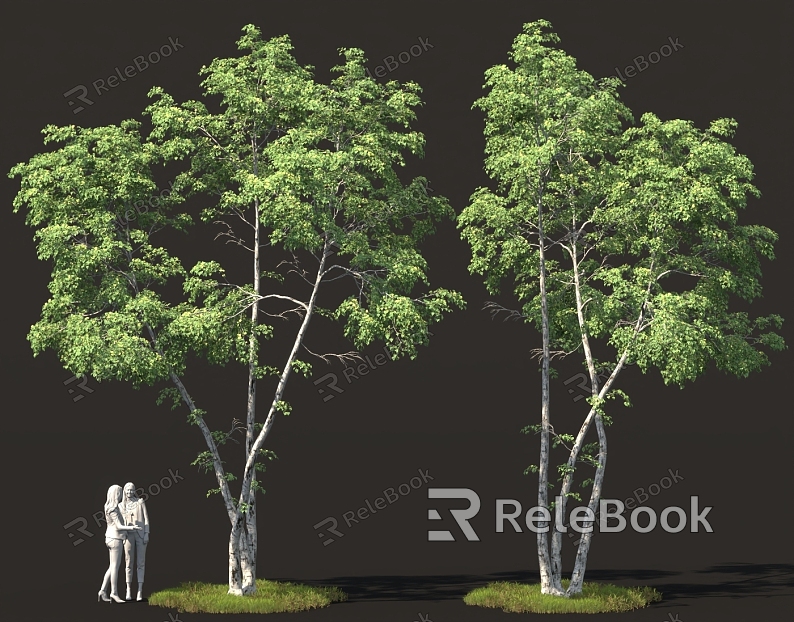 Bushes White Birch Poplar Tree Pool Solitary Tree Planting Forest Green Planting model