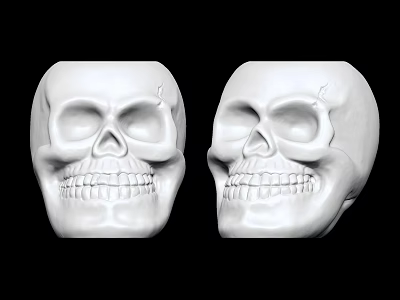 Modern Skull 3d model