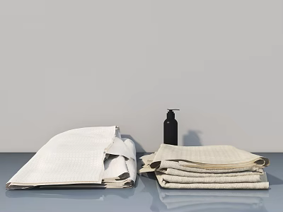 Modern White Swing Door Design With Folded Towels And Black Soap Dispenser 3d model