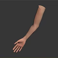 Detailed Human Arm Organ Model Displaying Skin Texture and Fine Hair Features