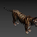 Realistic Tiger 3D Model Featuring Striped Fur And Standing Posture 3d model