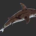 Realistic Damaged Shark 3D Model With Exposed Skeleton And Bloodstains 3d model