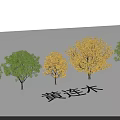Ornamental Garden Landscape Featuring Pistacia chinensis Trees with Green and Yellow Foliage