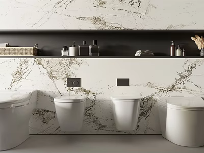 Modern Bathroom Design With Wall Mounted Toilets And Marble Wall Shelf Toiletries 3d model