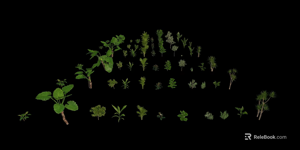 Diverse Green Plants and Leaves Arranged in Various Shapes and Sizes on Black Background 3d model 
