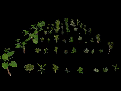 Diverse Green Plants and Leaves Arranged in Various Shapes and Sizes on Black Background 3d model