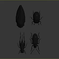 Four Black Beetles With Shiny Exoskeletons On Gray Background Detailed
