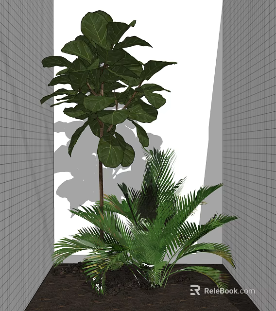 Indoor Greenery With Large Leaf Plant And Palm In Modern Grid Wall Space 3d model 