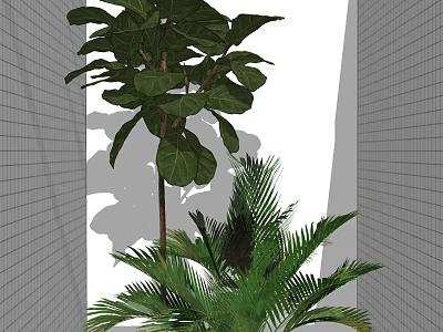 Indoor Greenery With Large Leaf Plant And Palm In Modern Grid Wall Space 3d model
