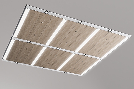 Modern Ceiling Office Ceiling 3d model