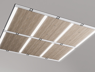 Modern Ceiling Office Ceiling 3d model