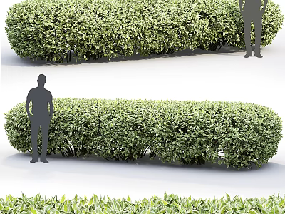 Well Trimmed Green Shrubs As Hedge With Human Silhouettes For Size Reference 3d model