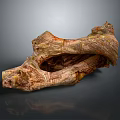 Natural Wood And Stone Sculpture With Organic Texture And Artistic Shape