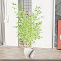 Tall Bamboo Bonsai Plant In Modern Indoor Setting With Gray Ceramic Pot And Wooden Floor