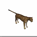 Realistic 3D Cheetah Model With Spotted Fur And Standing Posture 3d model
