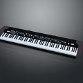 Home Use Digital Piano with Touch Sensitive Keys and Control Panel 3d model